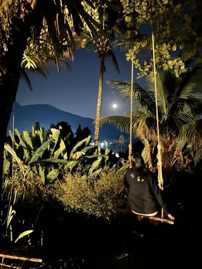Jungle Lodge 일랴그란지 외부 사진