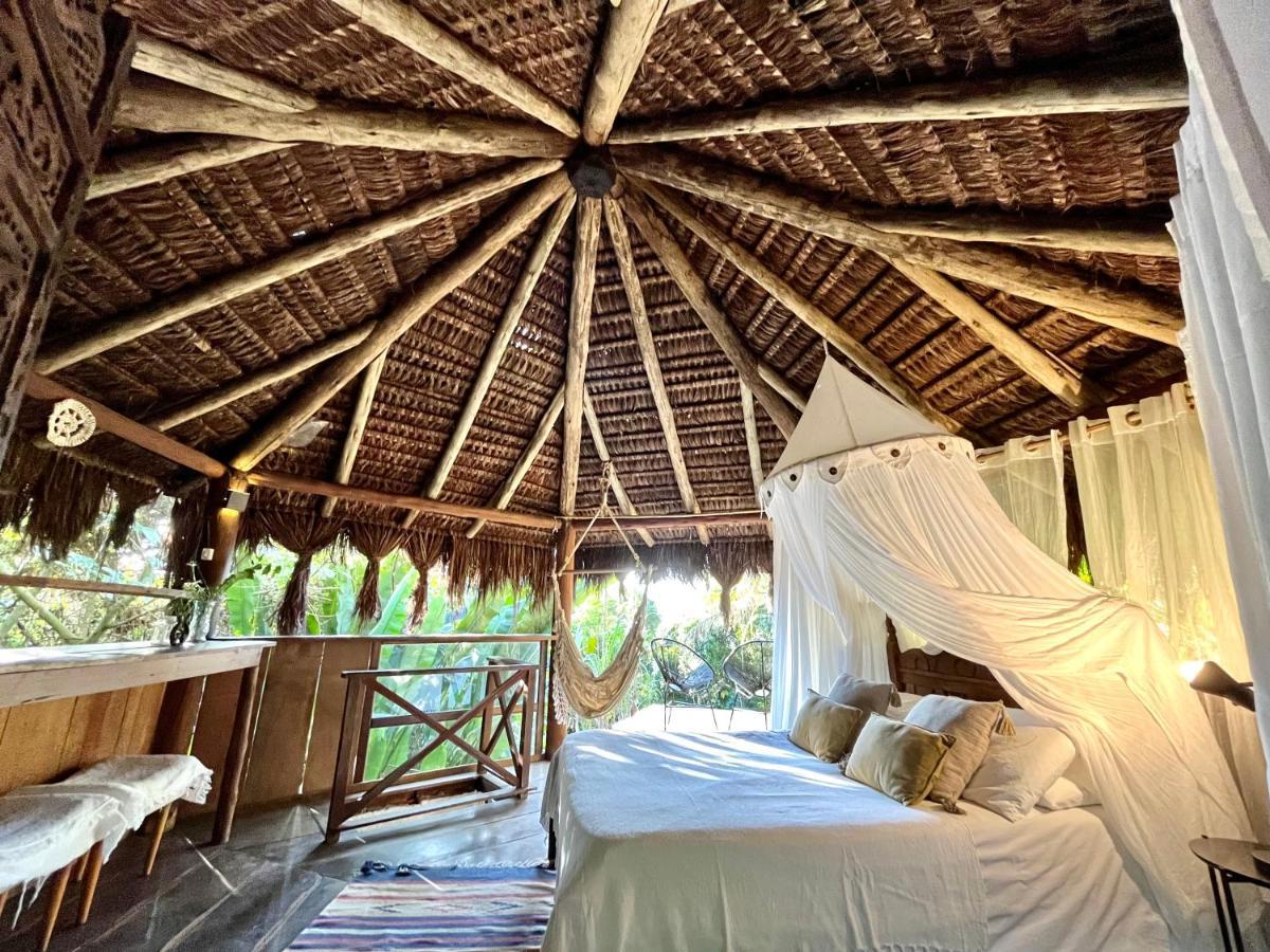 Jungle Lodge 일랴그란지 외부 사진